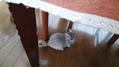 更多麦扣 7