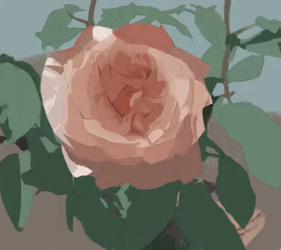 插画 18