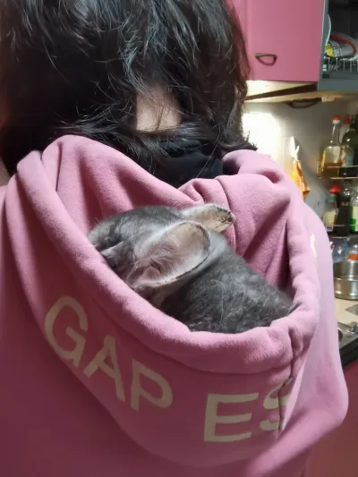 精选麦扣 21