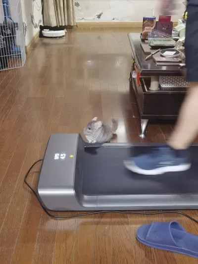 精选麦扣 28